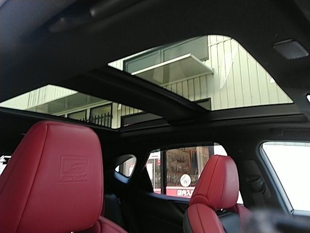 TOYOTA LEXUS NX350H AWD 2023 Image 31