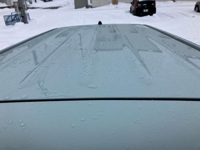 SUZUKI ALTO LAPIN 2009 Image 31