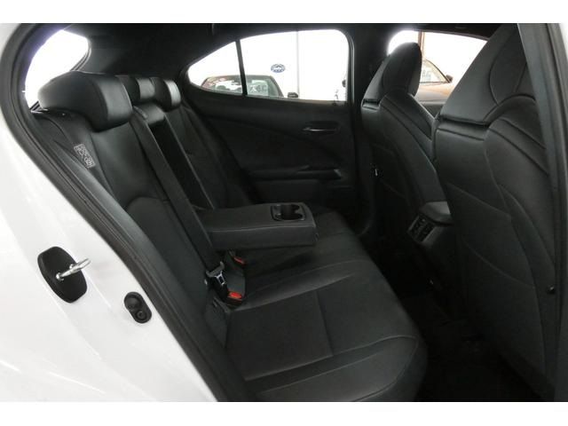 TOYOTA LEXUS UX250H AWD 2023 Image 31