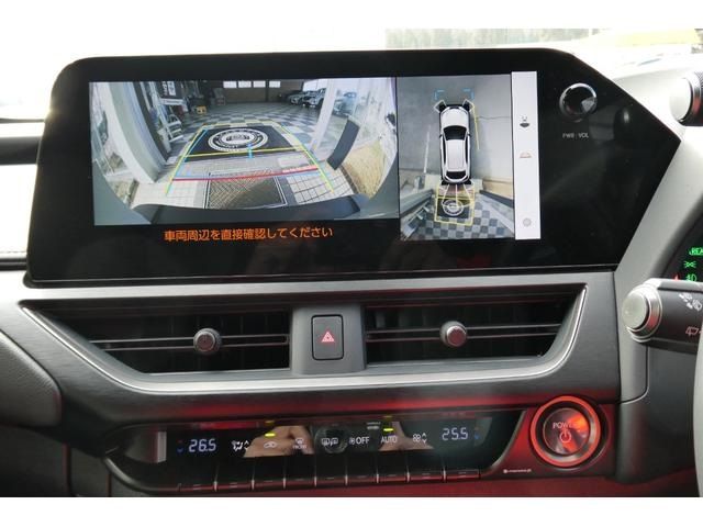 TOYOTA LEXUS UX250H AWD 2023 Image 31