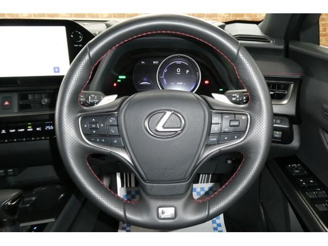 TOYOTA LEXUS UX250H AWD 2023 Image 31