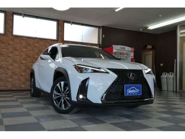 TOYOTA LEXUS UX250H AWD 2023 Image 31