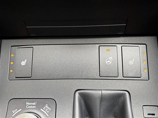 TOYOTA LEXUS IS300H 2021 Image 31