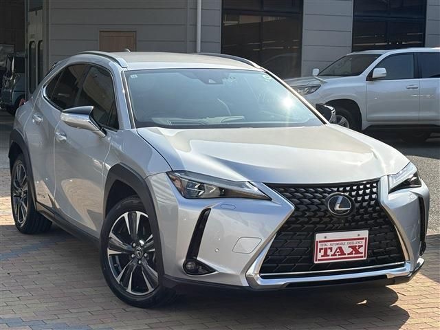 TOYOTA LEXUS UX250H 2019 Image 31