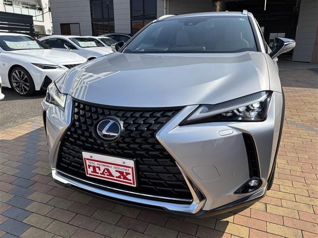TOYOTA LEXUS UX250H 2019 Image 31