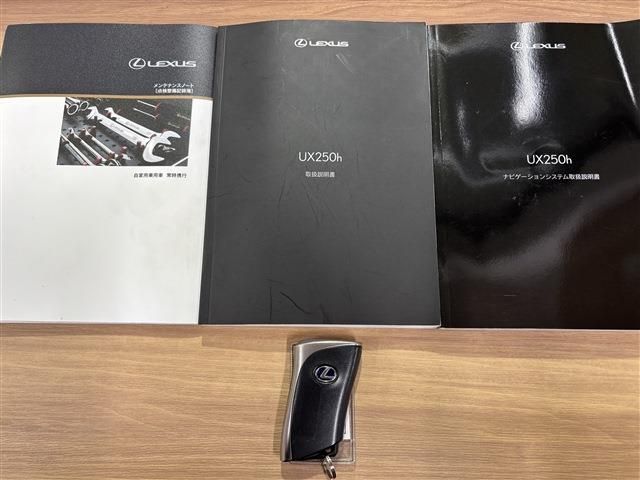 TOYOTA LEXUS UX250H 2019 Image 31