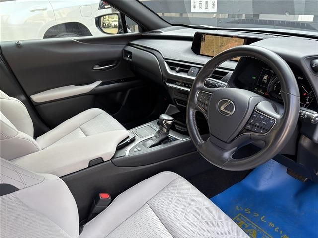 TOYOTA LEXUS UX250H 2019 Image 31
