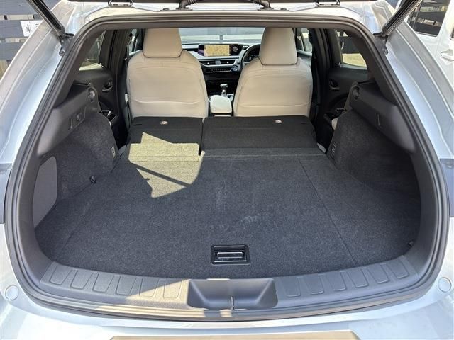 TOYOTA LEXUS UX250H 2019 Image 31