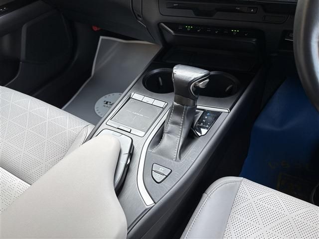 TOYOTA LEXUS UX250H 2019 Image 31