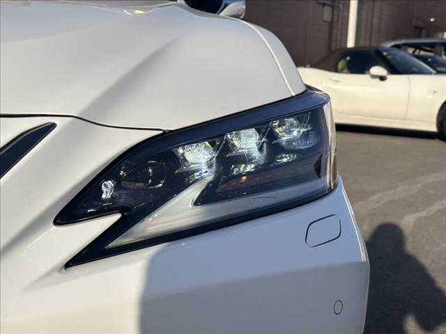 TOYOTA LEXUS ES300H 2019 Image 31