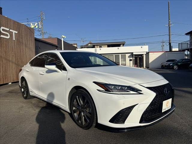 TOYOTA LEXUS ES300H 2019 Image 31