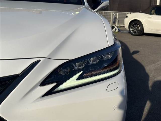 TOYOTA LEXUS ES300H 2019 Image 31