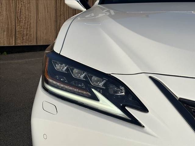 TOYOTA LEXUS ES300H 2019 Image 31