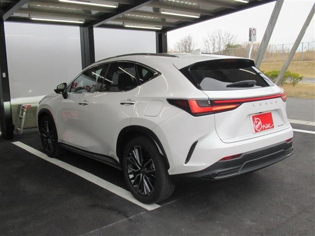 TOYOTA LEXUS NX250 2023 Image 31