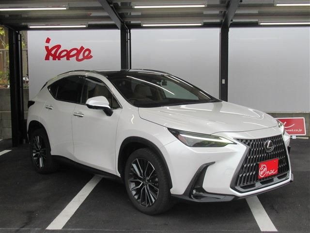 TOYOTA LEXUS NX250 2023 Image 31