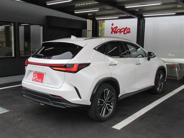 TOYOTA LEXUS NX250 2023 Image 31