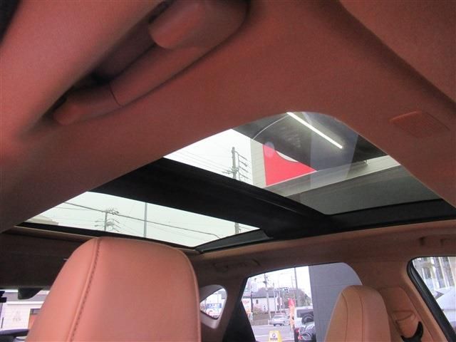 TOYOTA LEXUS NX250 2023 Image 31