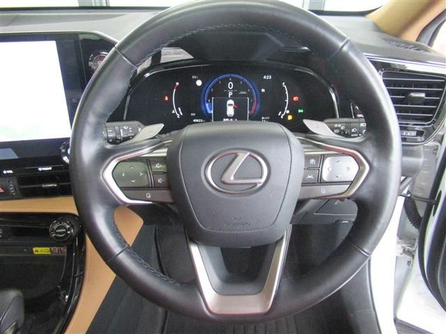 TOYOTA LEXUS NX250 2023 Image 31