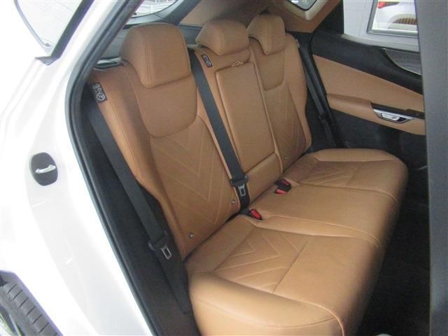 TOYOTA LEXUS NX250 2023 Image 31