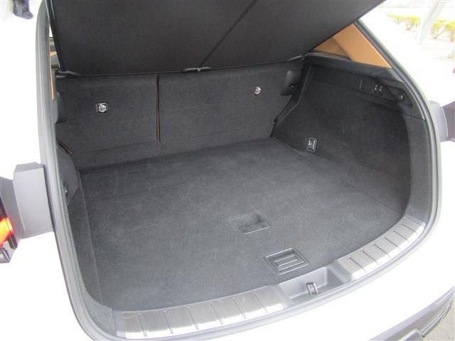 TOYOTA LEXUS NX250 2023 Image 31