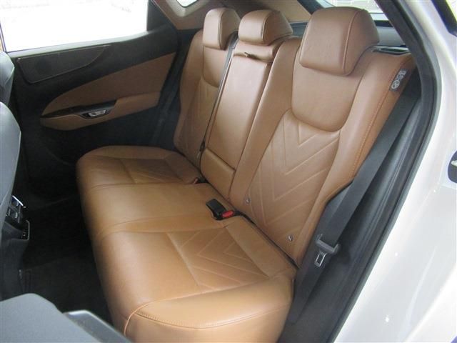 TOYOTA LEXUS NX250 2023 Image 31