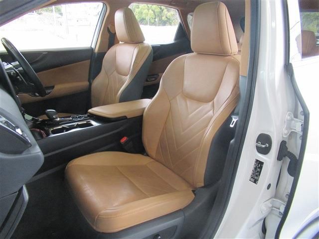 TOYOTA LEXUS NX250 2023 Image 31