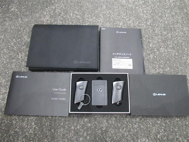 TOYOTA LEXUS NX250 2023 Image 31