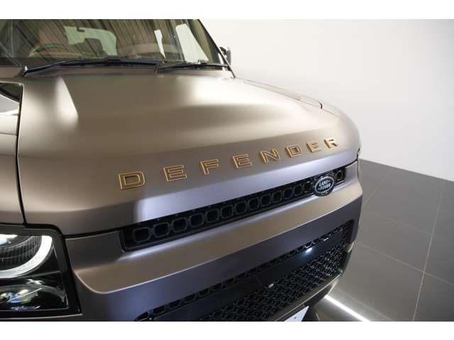 ROVER DEFENDER 2025 Image 31