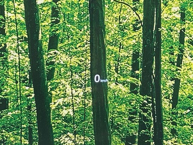 MAZDA CX-5 2019 Image 31