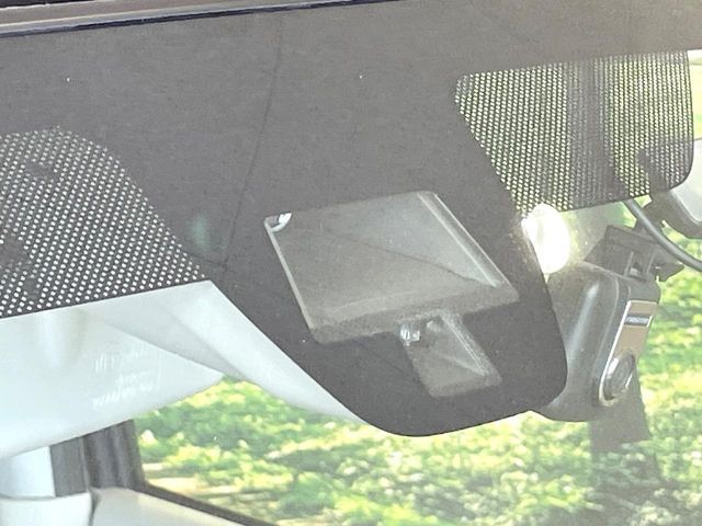 SUZUKI ALTO LAPIN 2019 Image 31