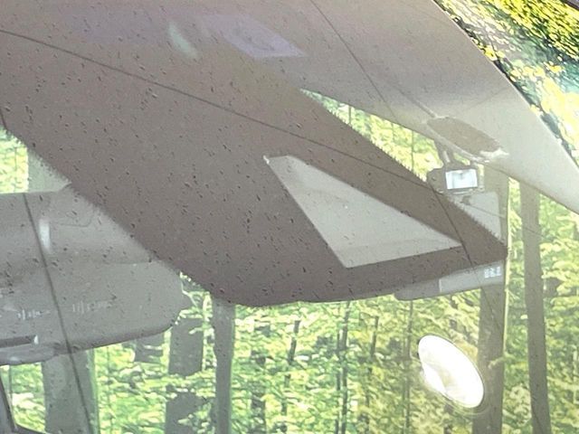 NISSAN ELGRAND 2019 Image 31