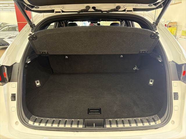 TOYOTA LEXUS NX300H AWD 2018 Image 31