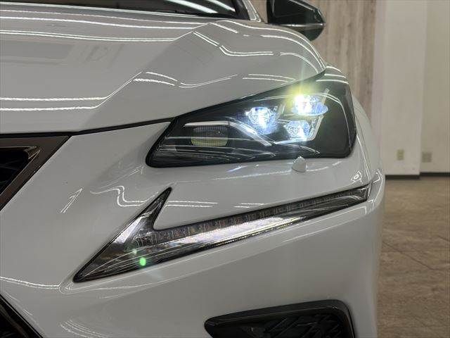 TOYOTA LEXUS NX300H AWD 2018 Image 31