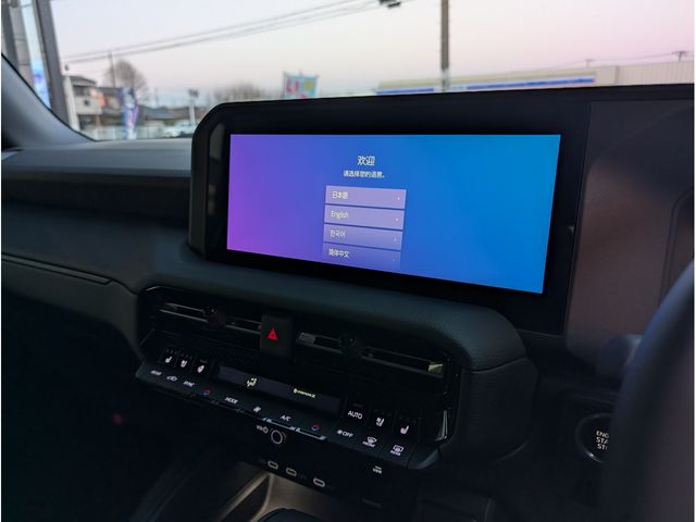 TOYOTA LANDCRUISER 250 2026 Image 31