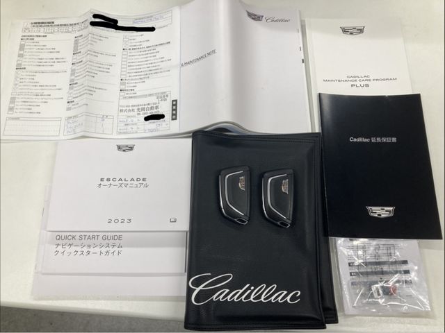 CADILLAC ESCALADE 2024 Image 31