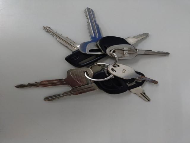 HINO MELPHA 2009 Image 31