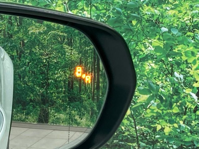 TOYOTA LEXUS NX200T 2017 Image 31