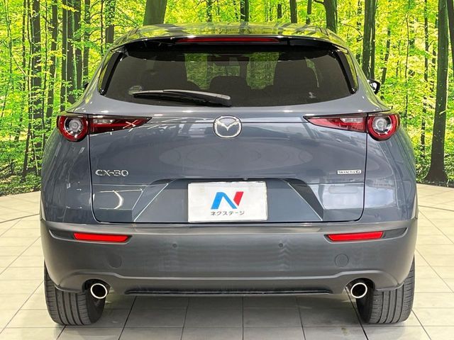 MAZDA CX-30 2021 Image 31