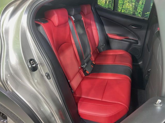 TOYOTA LEXUS UX250H 2019 Image 31