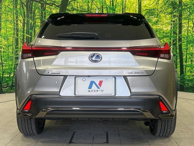 TOYOTA LEXUS UX250H 2019 Image 31