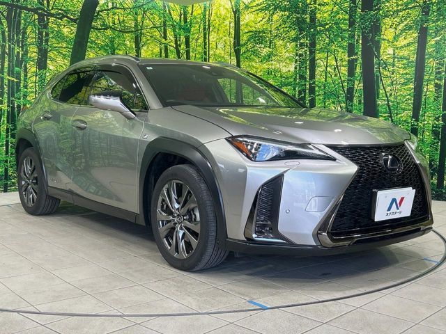 TOYOTA LEXUS UX250H 2019 Image 31