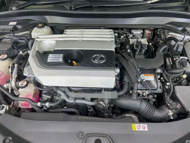 TOYOTA LEXUS UX250H 2019 Image 31