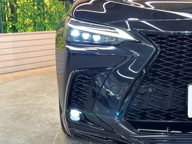 TOYOTA LEXUS NX350H 2023 Image 31