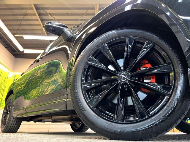 TOYOTA LEXUS NX350H 2023 Image 31