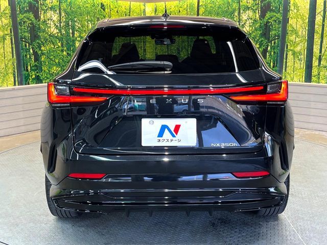 TOYOTA LEXUS NX350H 2023 Image 31