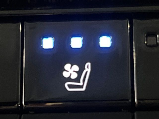 TOYOTA LANDCRUISER 250 2025 Image 31