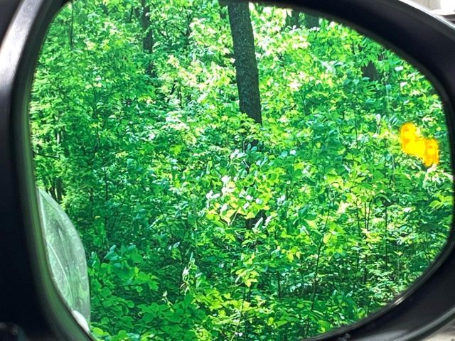 TOYOTA PRIUS 2024 Image 31