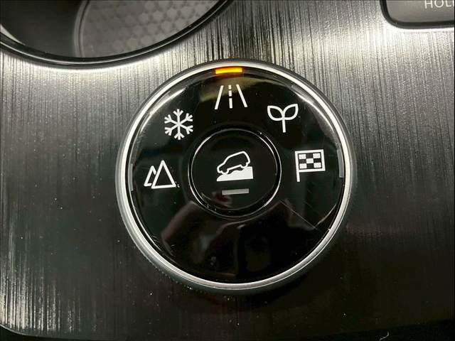 NISSAN X-TRAIL HYBRID 4WD 2024 Image 31