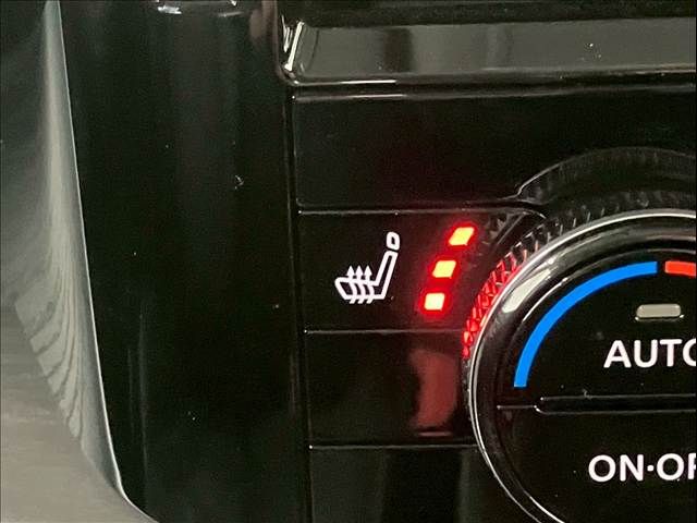 NISSAN X-TRAIL HYBRID 4WD 2024 Image 31