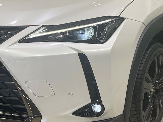 TOYOTA LEXUS UX250H 2021 Image 31